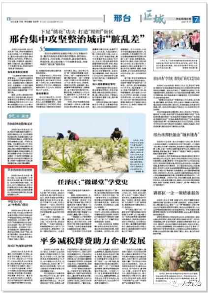 黄豆的营养价值游戏画面